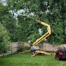 Best Sod Installation  in Bryant, WA