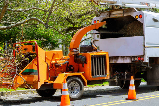 Best Storm Damage Tree Cleanup  in Bryant, WA