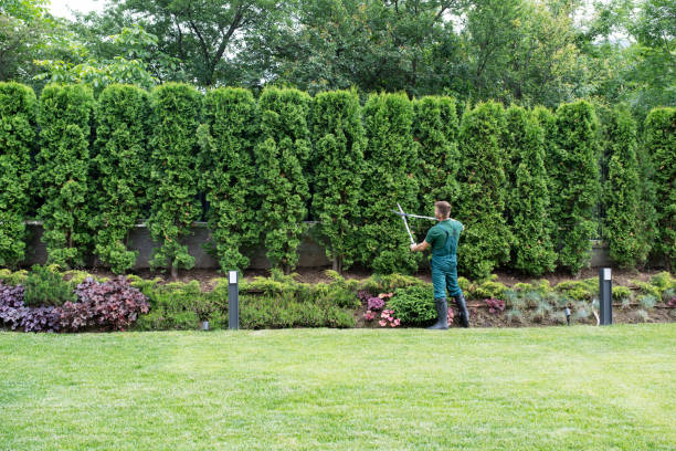 Best Lawn Fertilization Services  in Bryant, WA