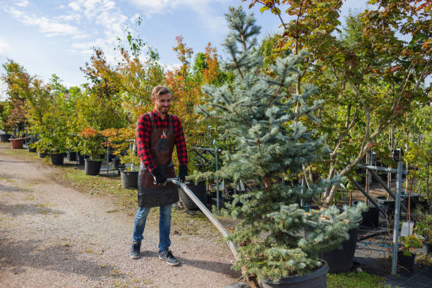 Best Tree and Shrub Care  in Bryant, WA