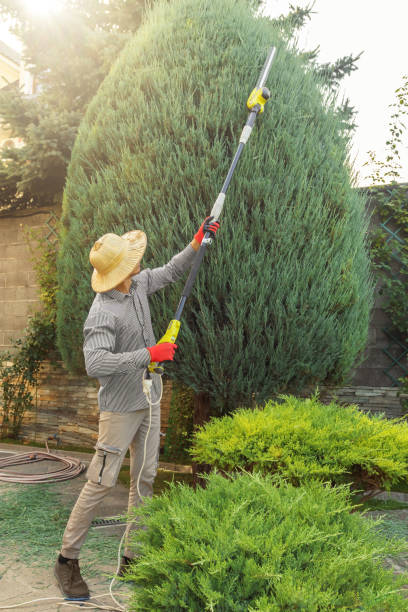 Best Weed Control Services  in Bryant, WA